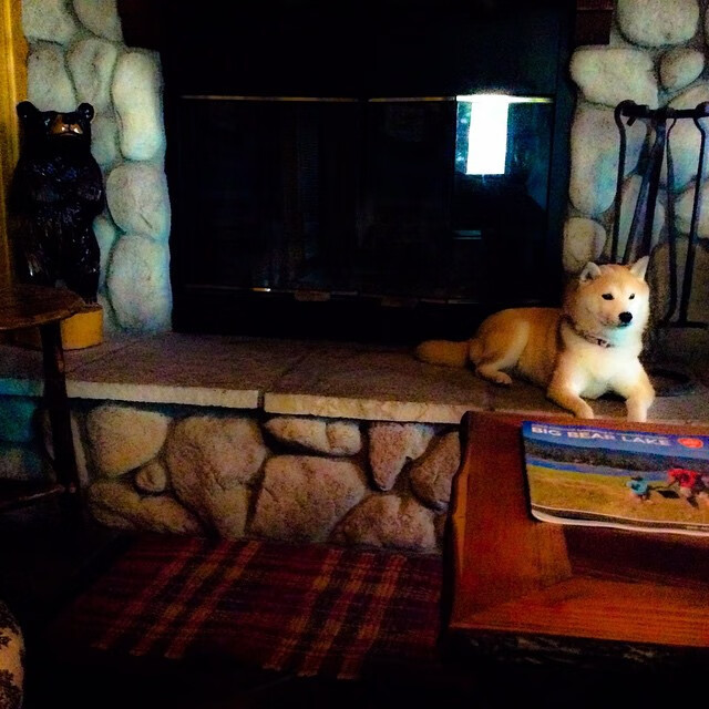 绝境烈焰,克罗地亚加时险胜,伊布点射点燃全场的传奇之夜