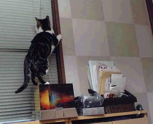 王皓破局！奥地利惊涛掀翻法国巨舰，个人英雄主义与冰冷数据的终极博弈