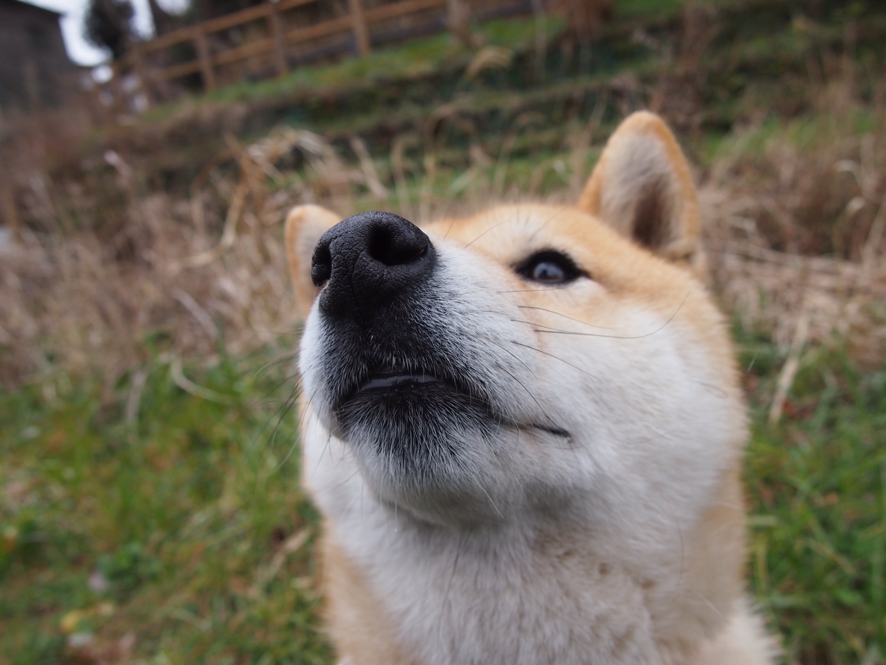 桑巴鏖战与铁翼制胜，阿什拉夫如何将两种足球哲学融于一脚