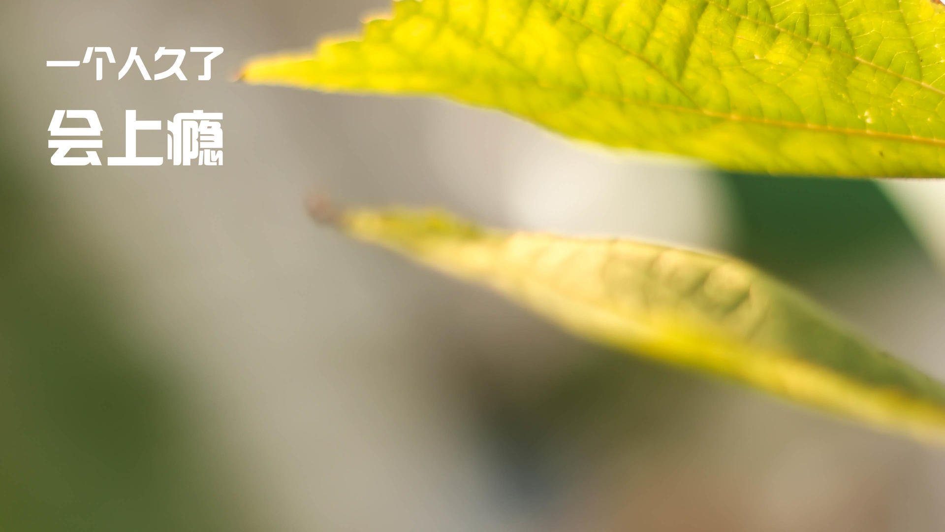 一瞬与180分钟，当终场哨响于另一张球台