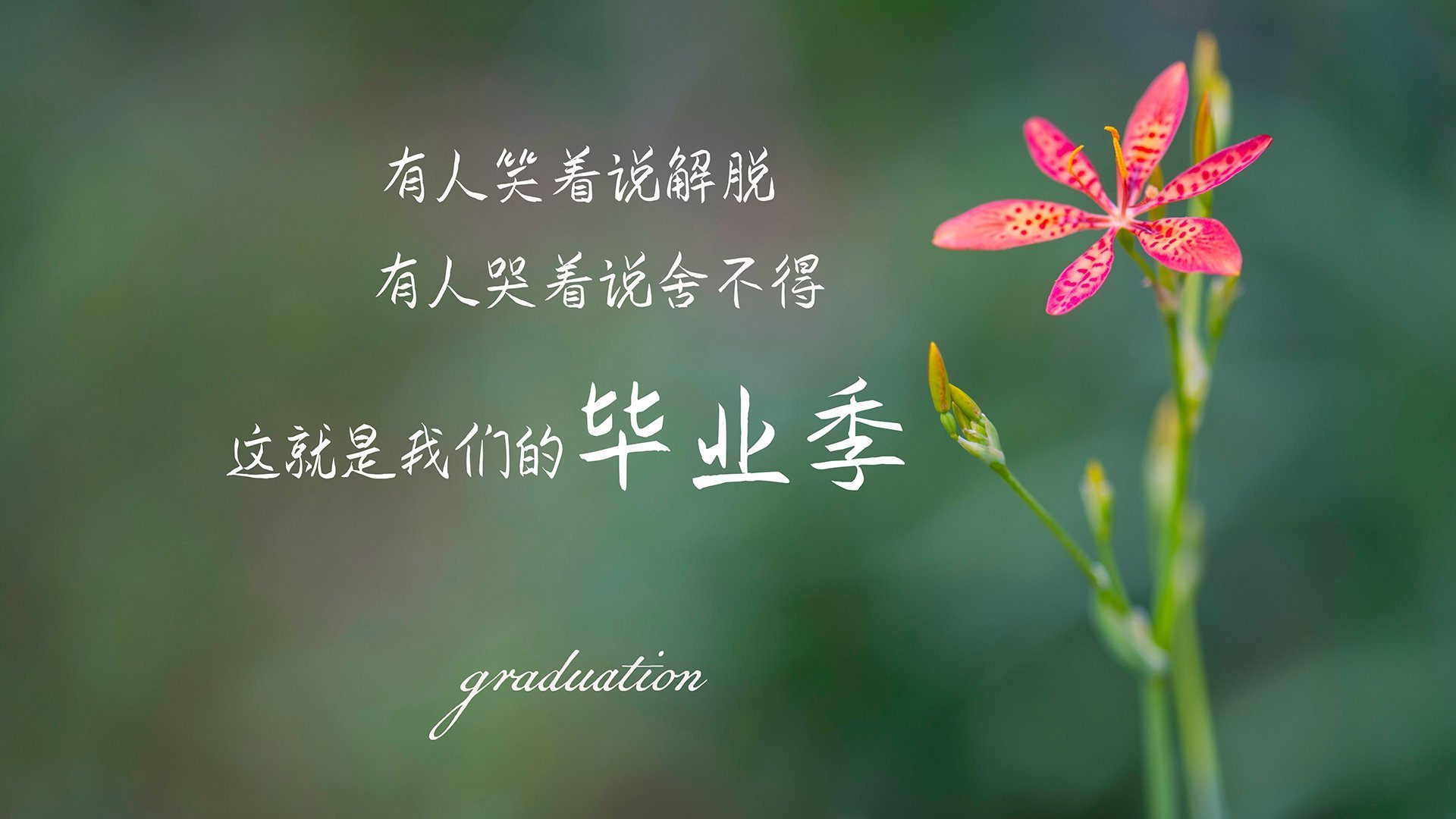 蓝桥新引擎，劳塔罗以一己之力掀起对抗苏格兰风暴的节奏革命