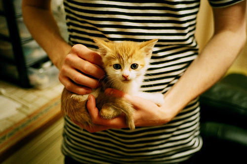 今日对手,明日战友,灰熊铁蹄下的试炼与2026的彩虹三分雨