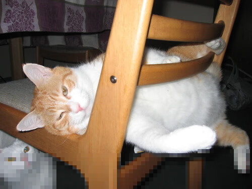 奥林匹斯山巅的咆哮,字母哥关键制胜,劈开奥运周期命运之门