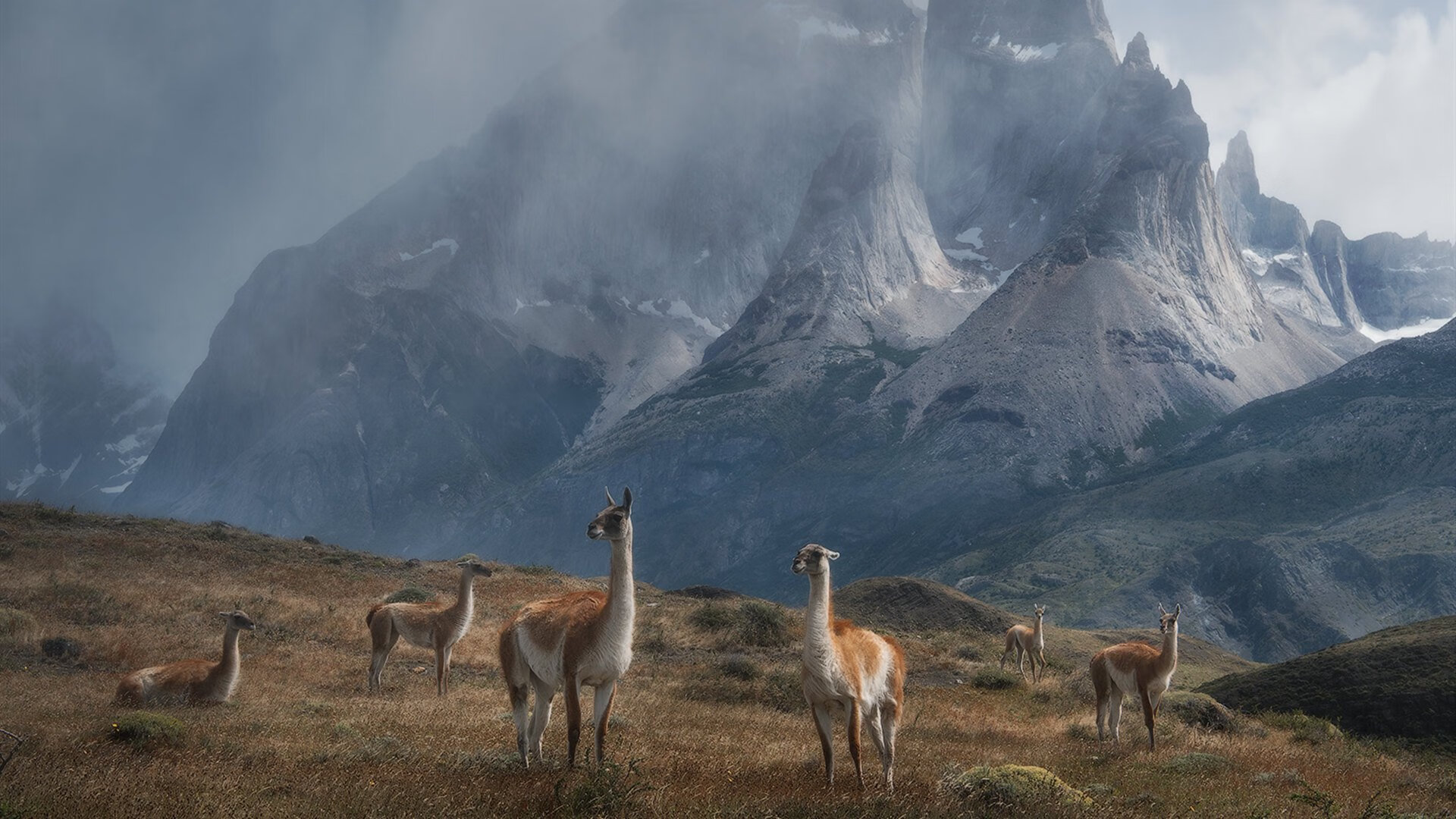 窒息防守与降维打击,新疆队用节奏黑洞吞噬深圳,乔治末节狂飙诠释何为满分外援