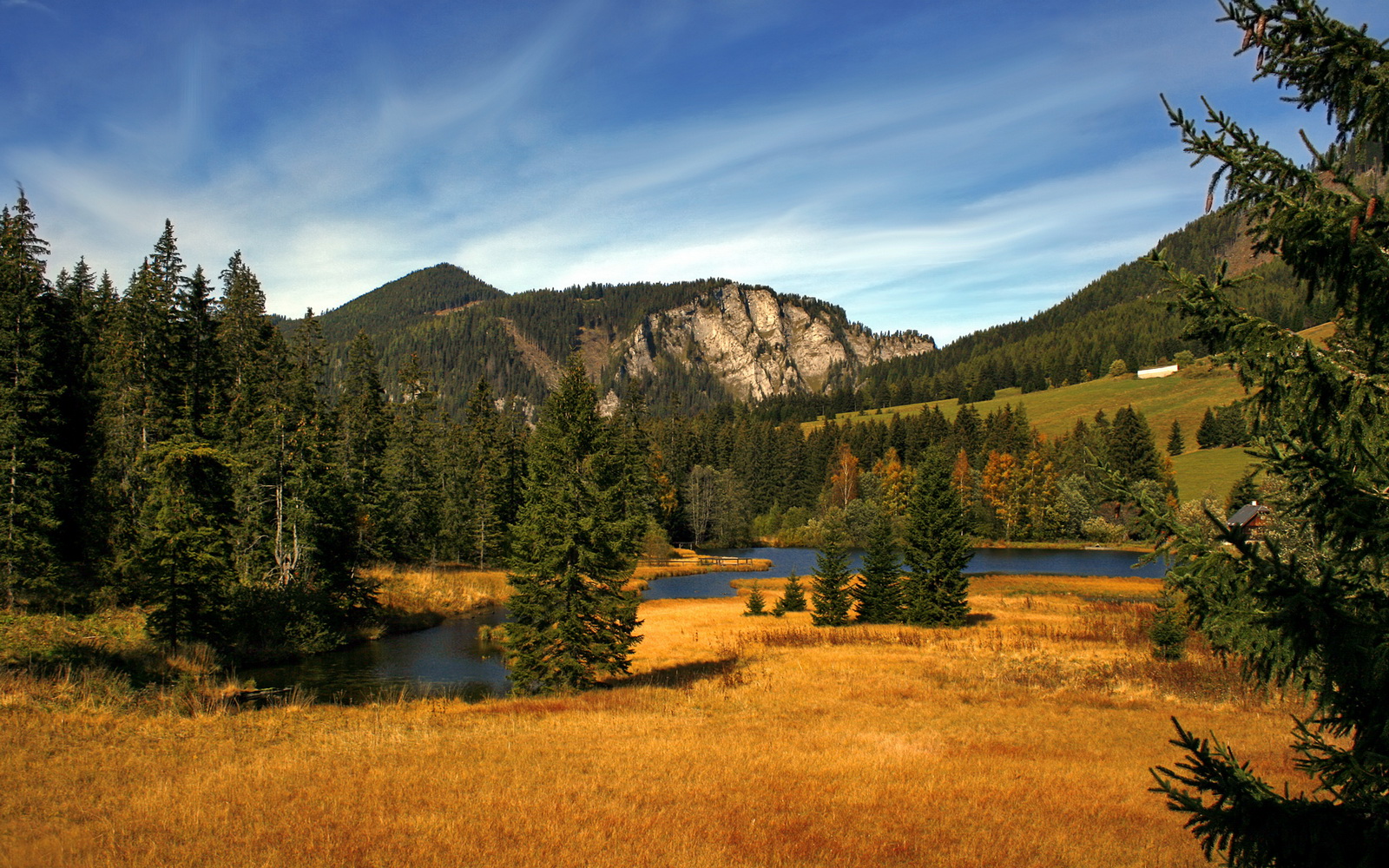 致命倒勾，金玟哉一剑封喉，塞内加尔刺破巴拉圭铁幕