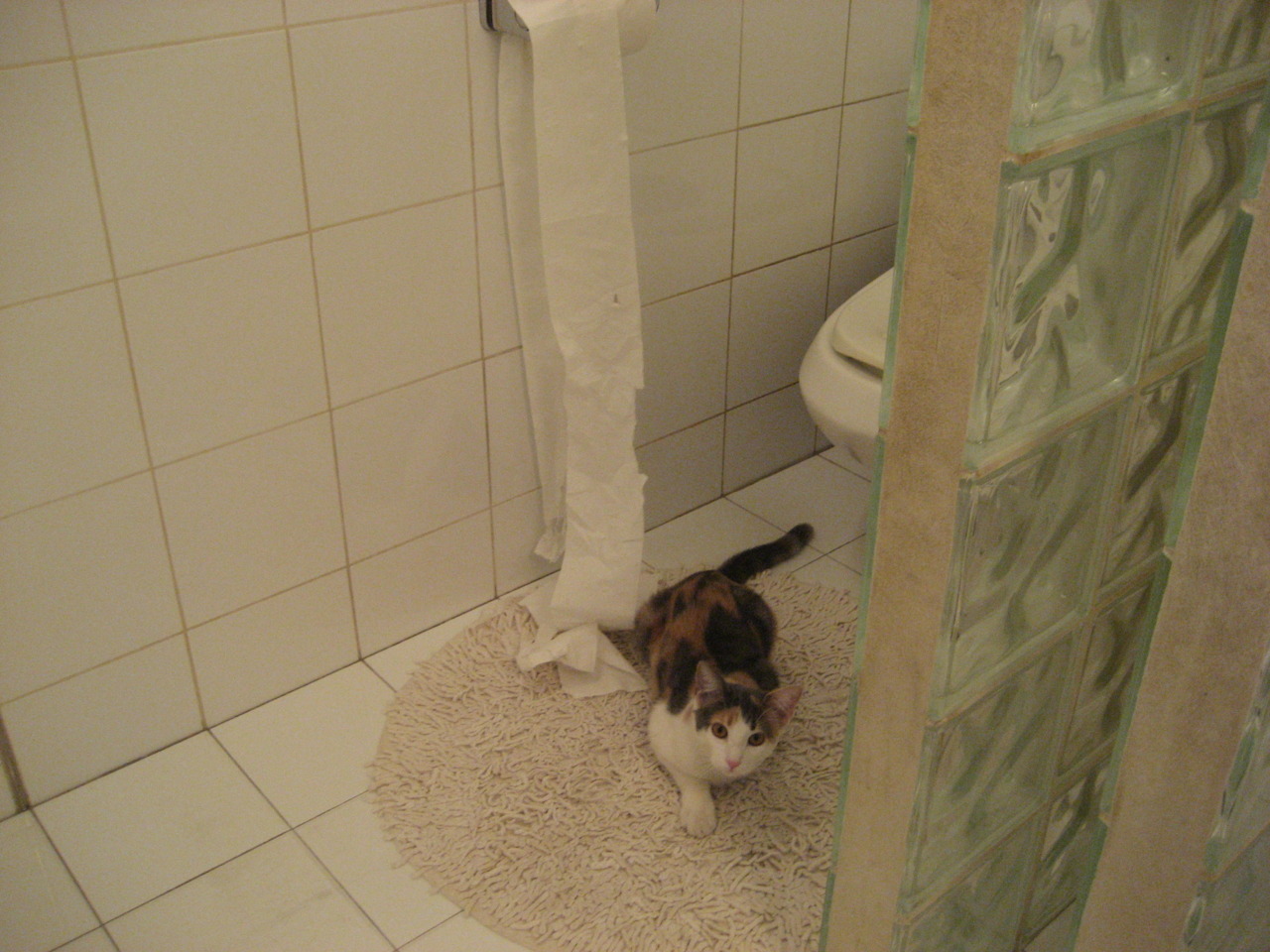 双子星闪耀，卡瓦哈尔一剑封喉，马里铁军正面碾碎阿尔及利亚