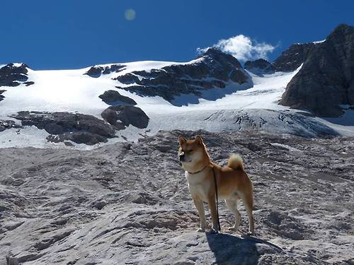 福克斯的指挥艺术，奇才如何用战术铁钳锁死浙江队的进攻狂潮