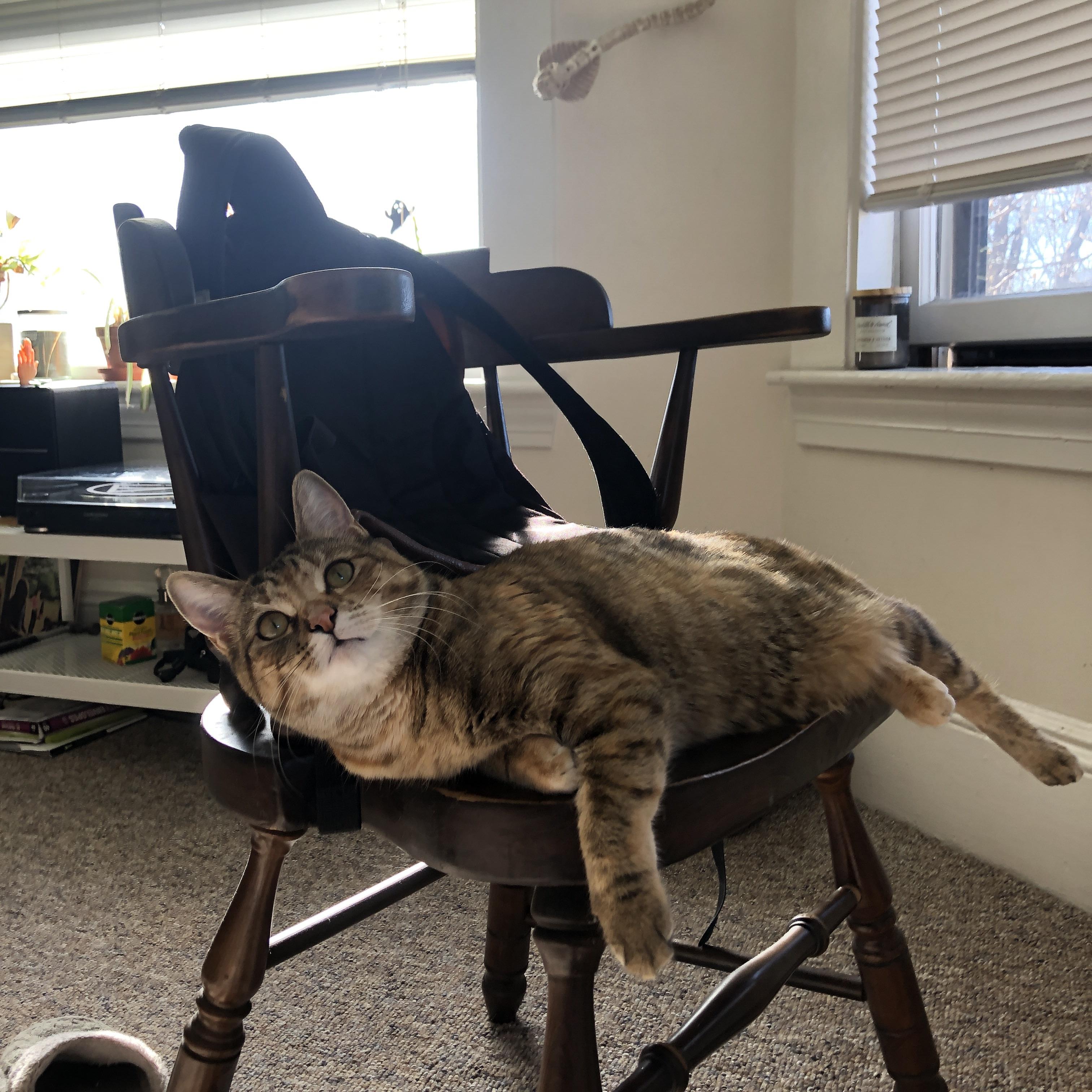 地平线两侧，浙江队死战突围与小贾伦的全球风暴