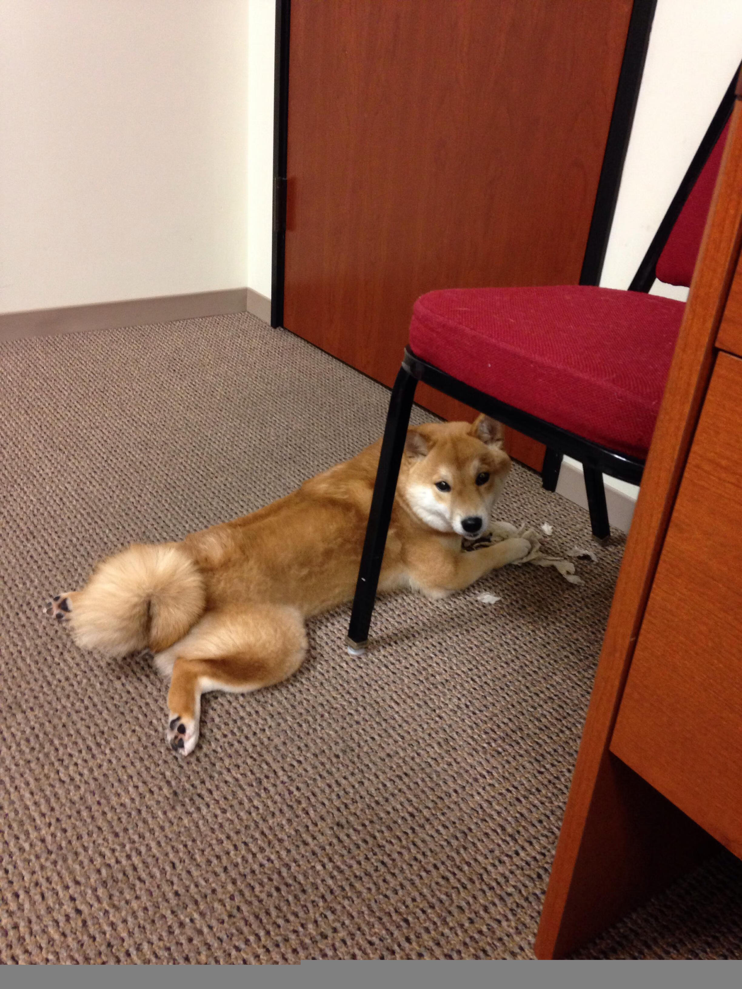 西决之夜,聚光灯下,门迪的舞台从不颤抖