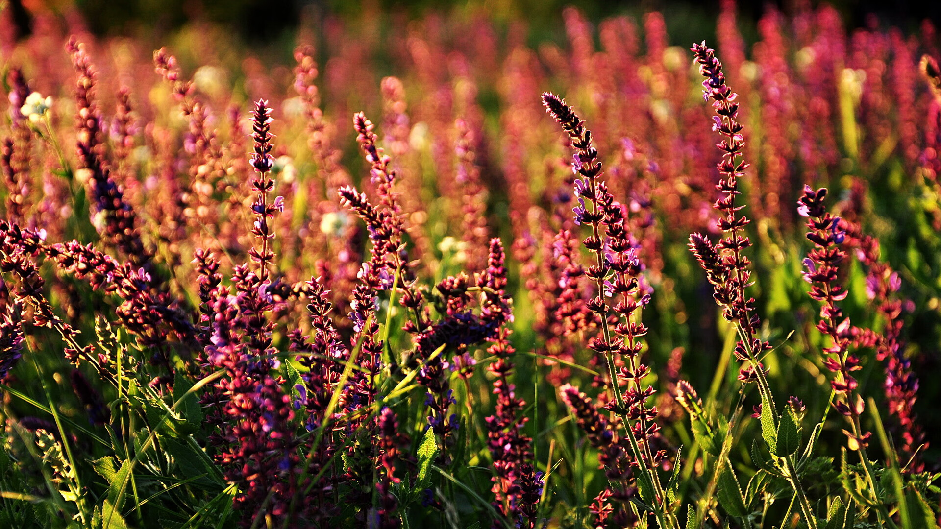 黄喜灿终场怒射破冰，安哥拉妙手锁链冰岛，一场冰与火的战术缠斗
