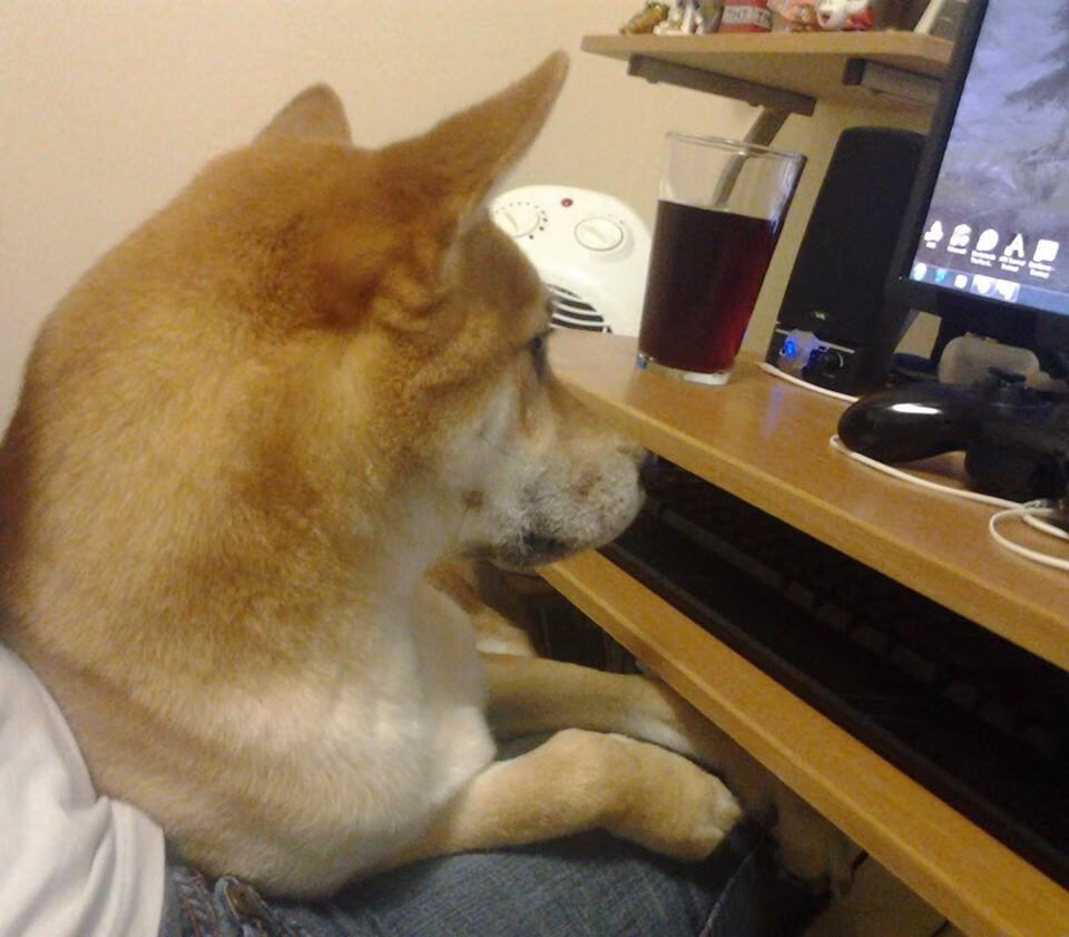 跨界风暴，太阳淘汰马刺的篮球智慧，贝恩如何在英超争冠中接管比赛