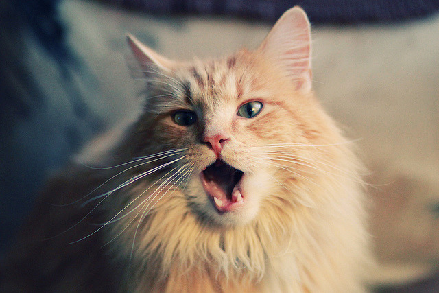 爱游戏APP-欧亚对决惊魂夜！凯尔特人加时鏖战浙江队，字母哥化身关键先生一锤定音