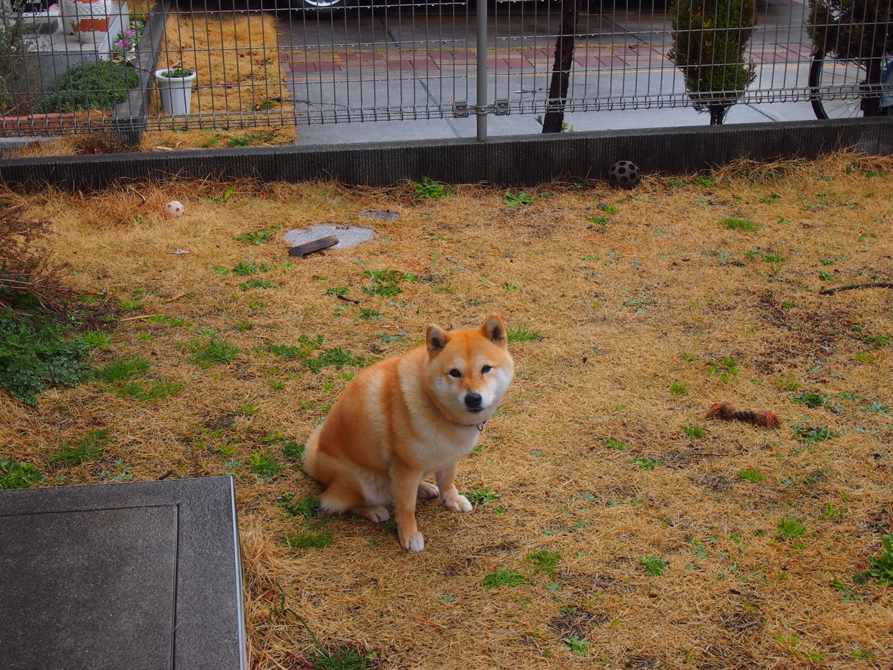引擎轰鸣与三分弧线，在各自赛道上，书写完美的不同定义