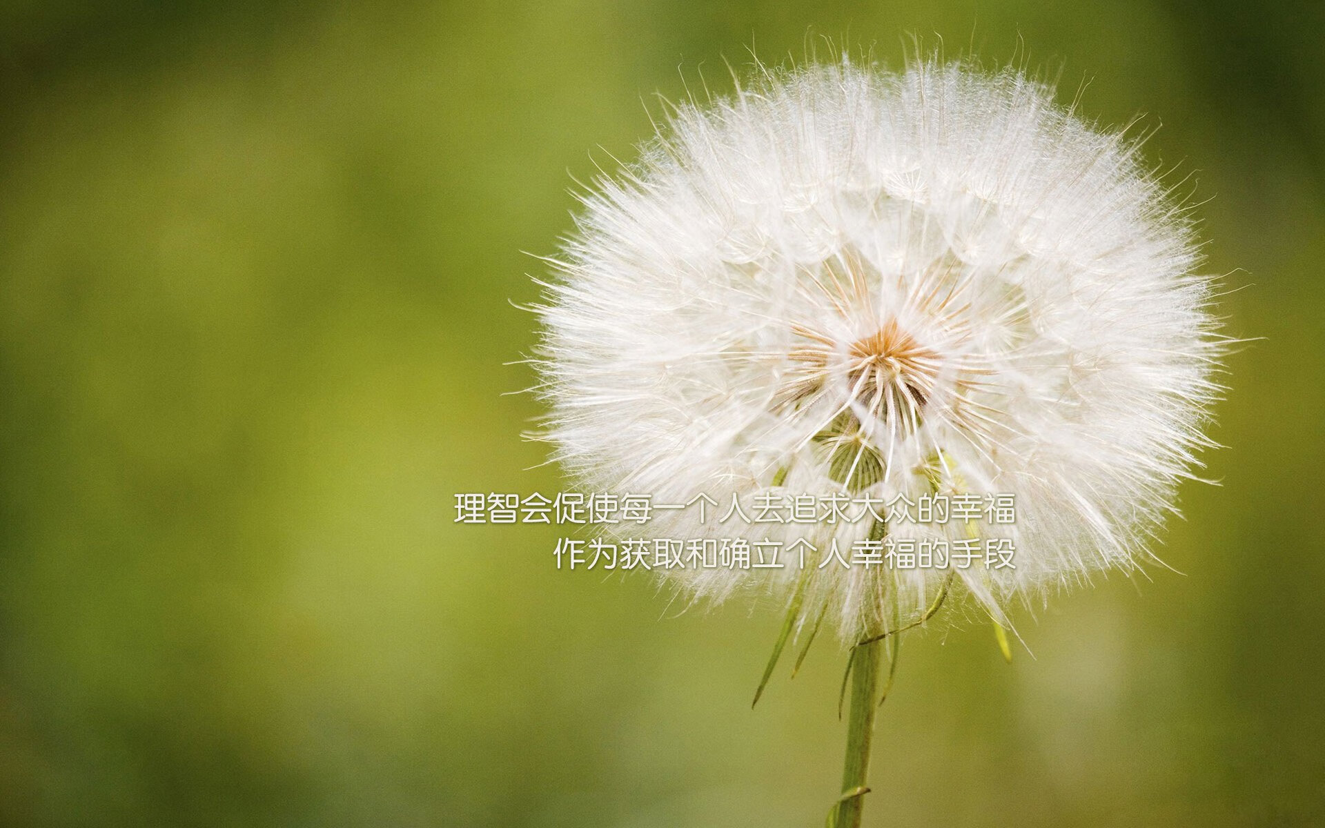 铁血日耳曼战车碾过匈牙利,格列兹曼独舞,一场属于硬汉的世界杯争冠宣言