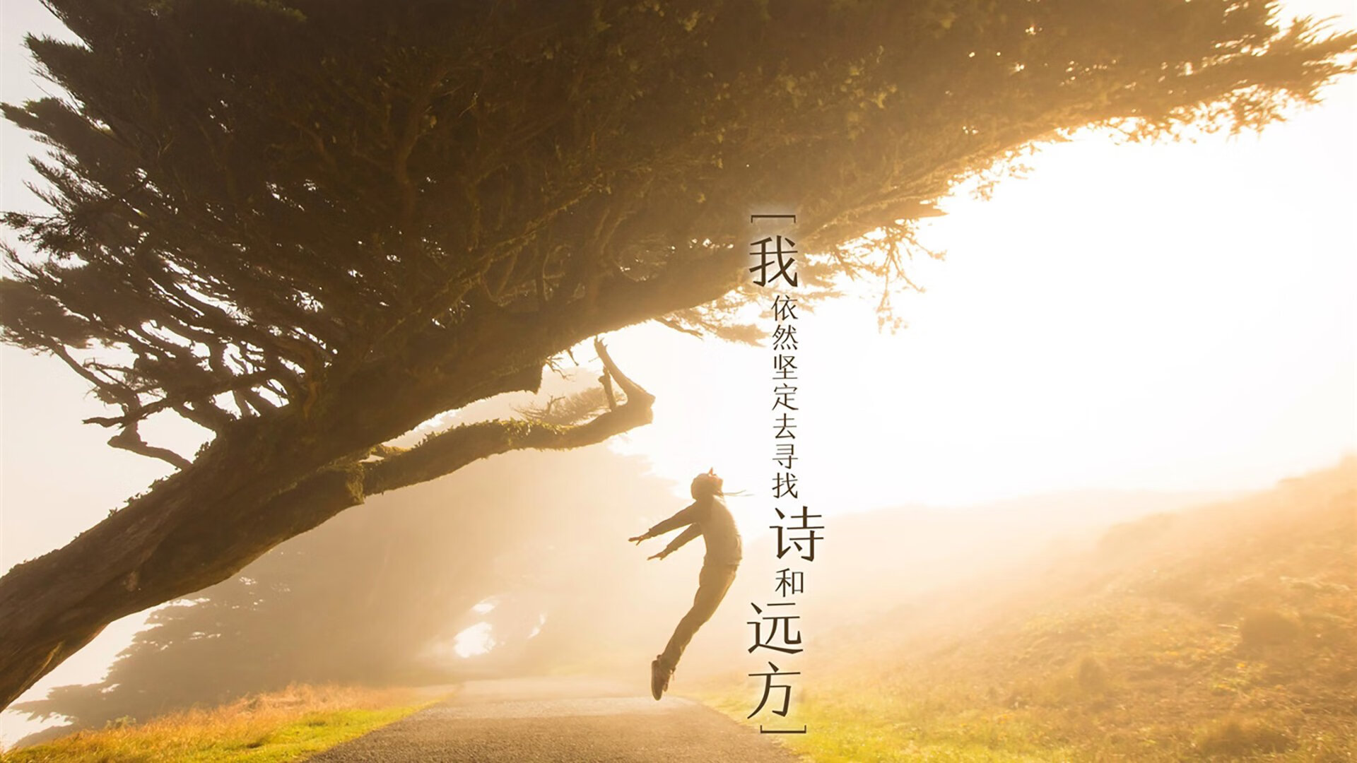 独一瞬的统治,2026世界杯,荷兰的节奏、三笘薰的绝杀与足球的不可复制之美