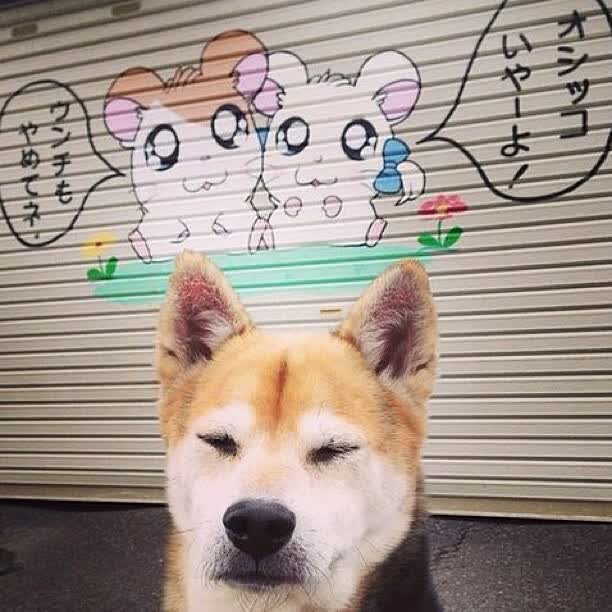 扩展(供选择)